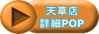 �V���X �ڍ�POP