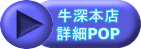 ���[�{�X �ڍ�POP 