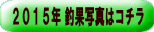 �Q�O�P�T�N �މʎʐ^�̓R�`�� 