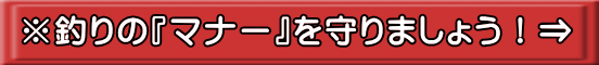 ނ́w}i[x܂傤I