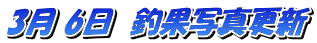 3 6@މʎʐ^XV