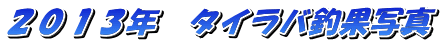 �Q�O�P�R�N�@�^�C���o�މʎʐ^