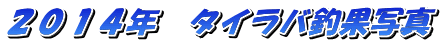 �Q�O�P�S�N�@�^�C���o�މʎʐ^
