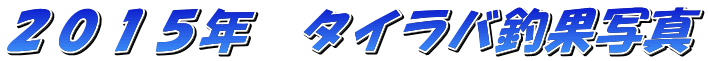 �Q�O�P�T�N�@�^�C���o�މʎʐ^