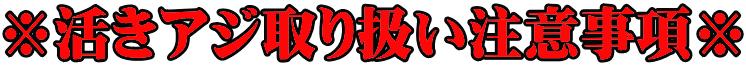 ※活きアジ取り扱い注意事項※
