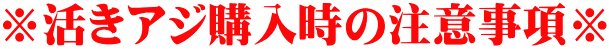 ※活きアジ購入時の注意事項※
