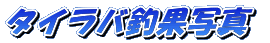 �^�C���o�މʎʐ^ 