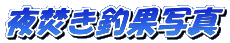 �镰���މʎʐ^
