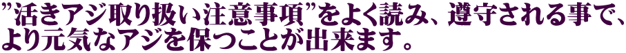 ”活きアジ取り扱い注意事項”をよく読み、遵守される事で、 より元気なアジを保つことが出来ます。
