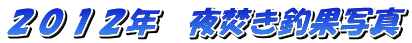 �Q�O�P�Q�N�@�镰���މʎʐ^