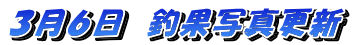 ����o�D
