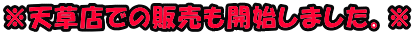 VXł̔̔Jn܂B