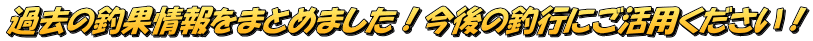 ߋ̒މʏ܂Ƃ߂܂I̒ލsɂpI