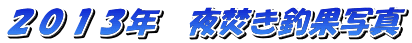 �Q�O�P�R�N�@�镰���މʎʐ^