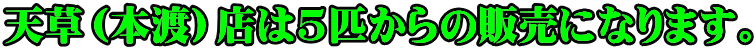 Vi{njX5C̔̔ɂȂ܂B