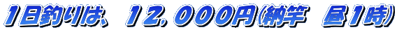 �P���ނ�́A�P�Q,�O�O�O�~(�[�Ɓ@���P��)