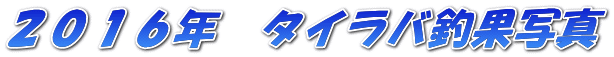 �Q�O�P�U�N�@�^�C���o�މʎʐ^
